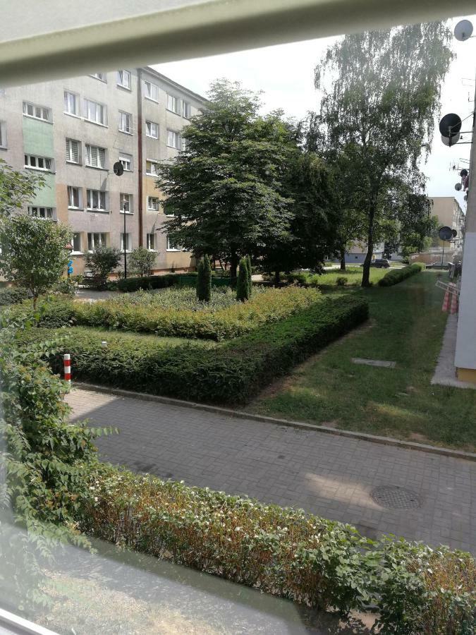 Natali & K Apartment Polkowice Exterior photo